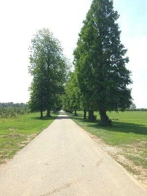 Reid's Orchard