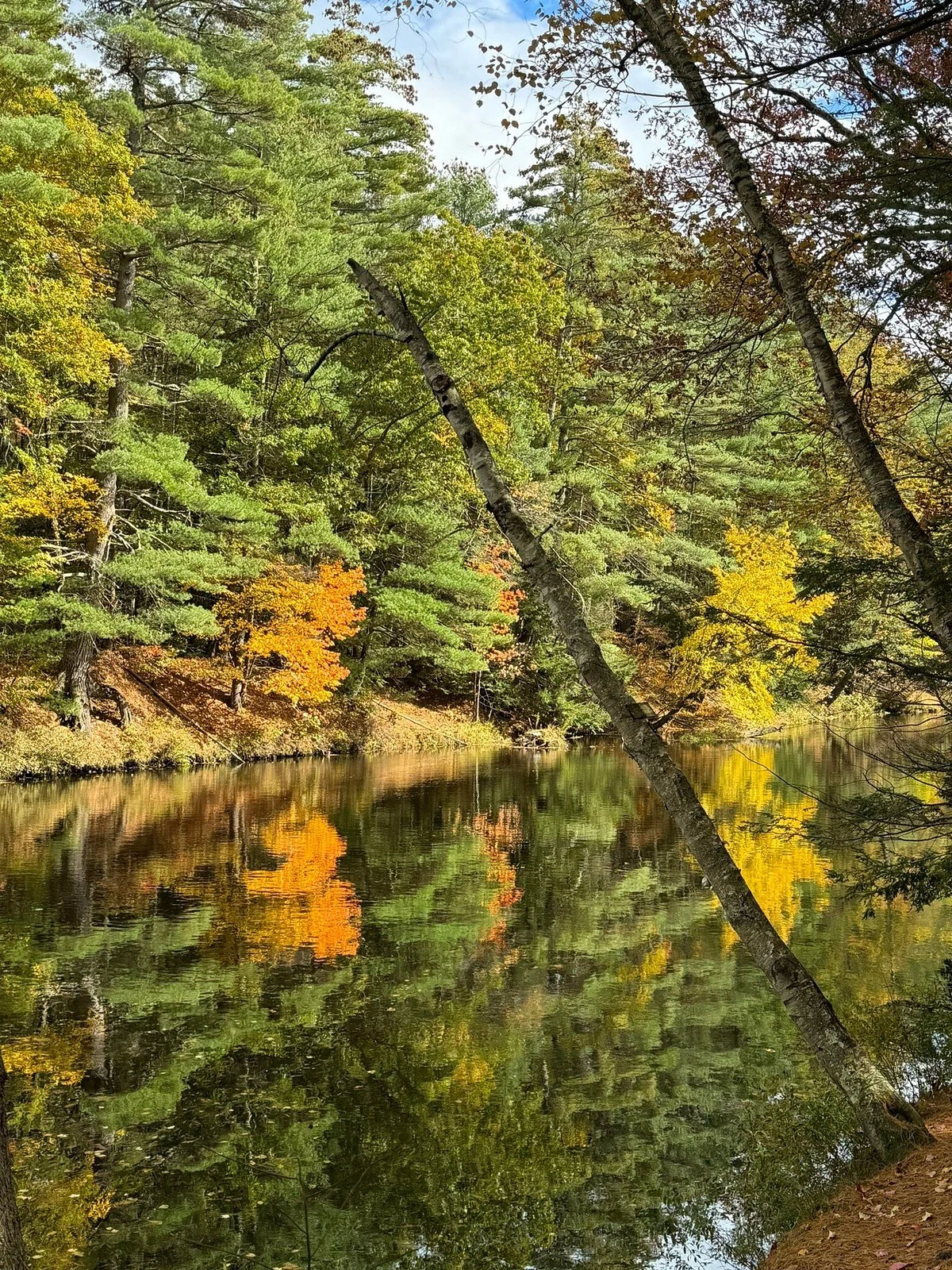 Wildcat Falls Park and Conservation Area