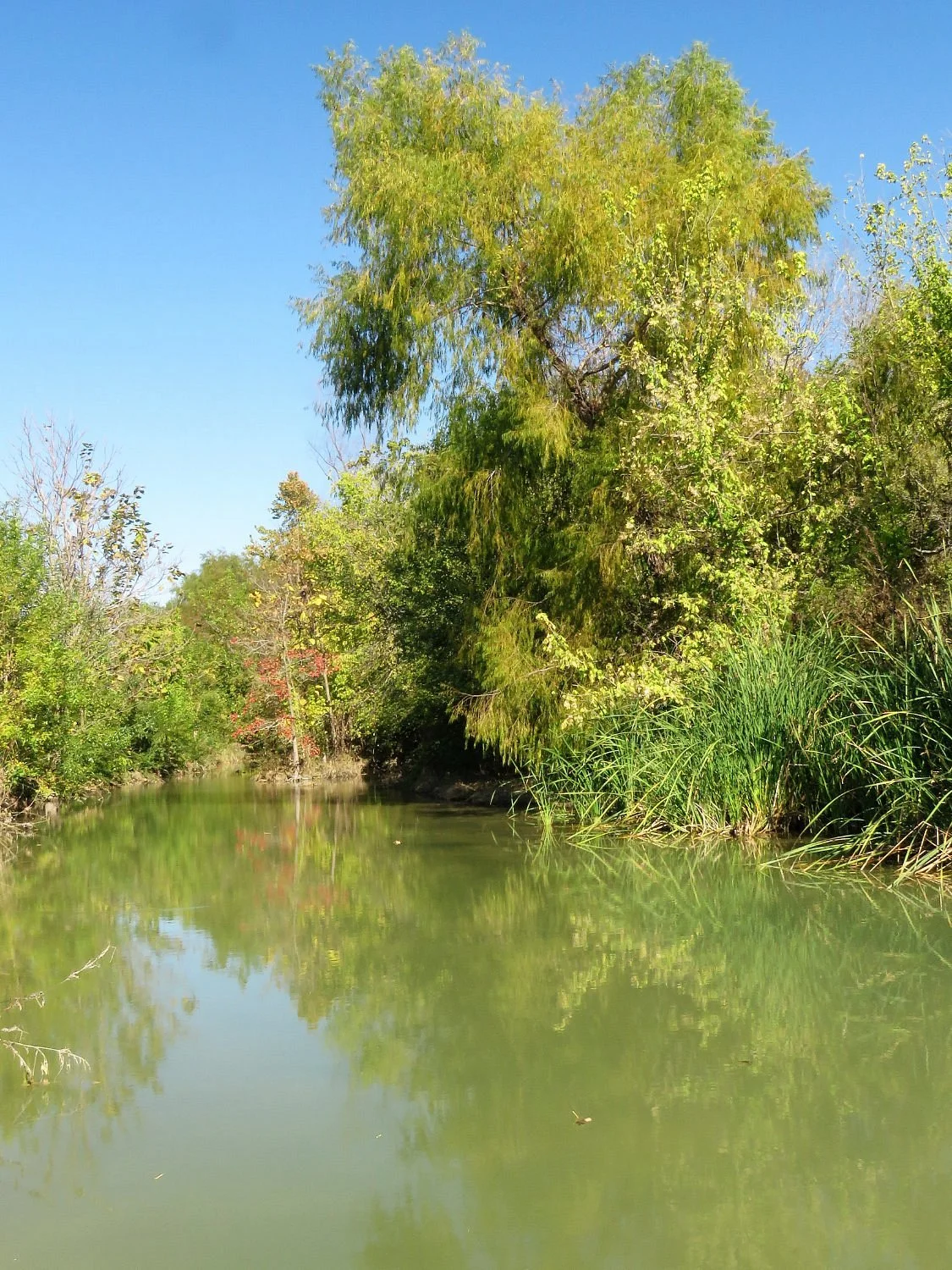 Friar's Creek Trail