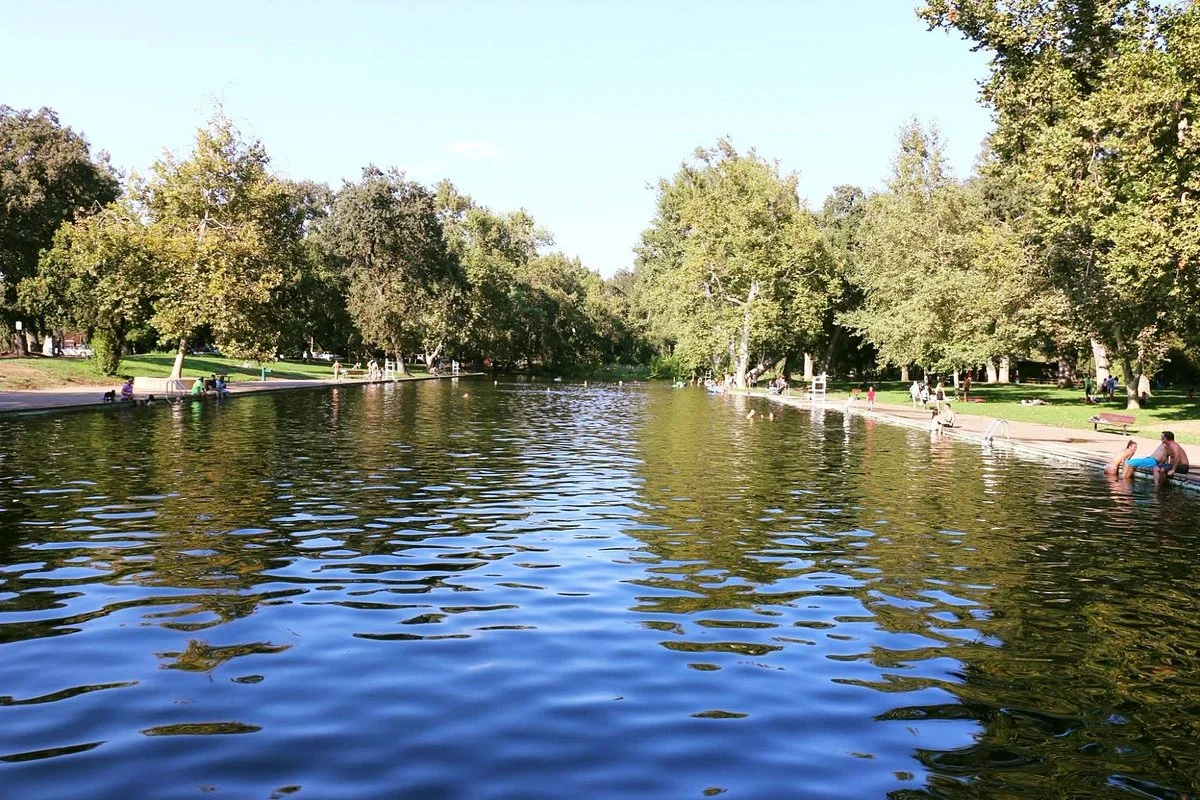 Sycamore Pool