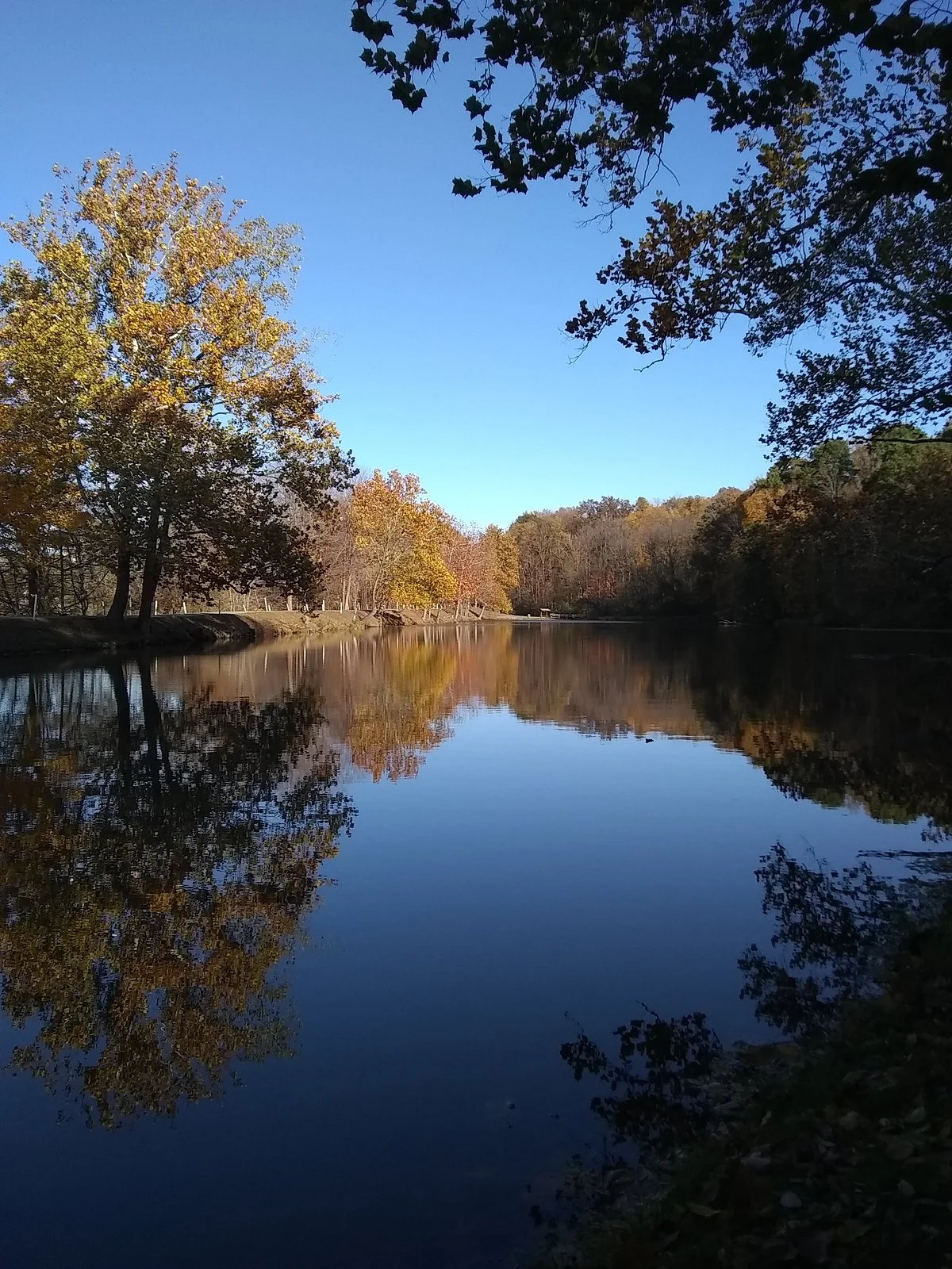 Tawawa Park