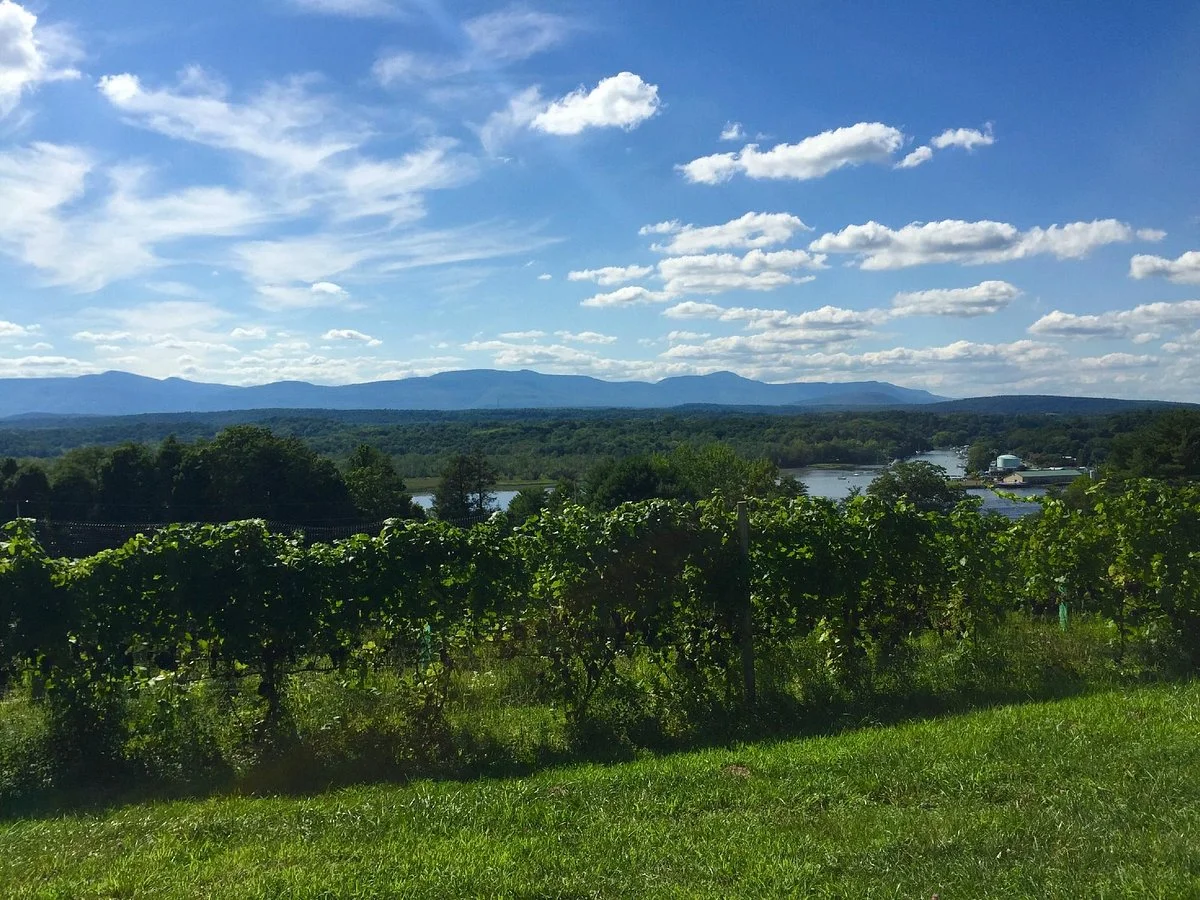 Tousey Winery