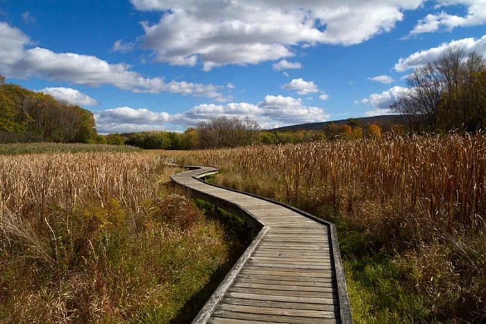 Appalachian Trail - Pochuck Boardwalk