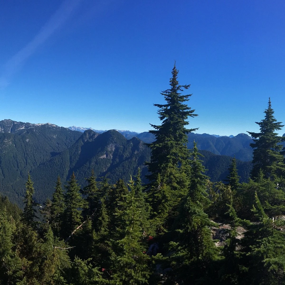 Mount Fromme