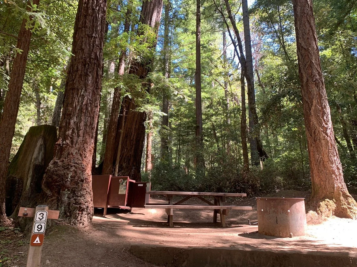 Portola Redwoods State Park