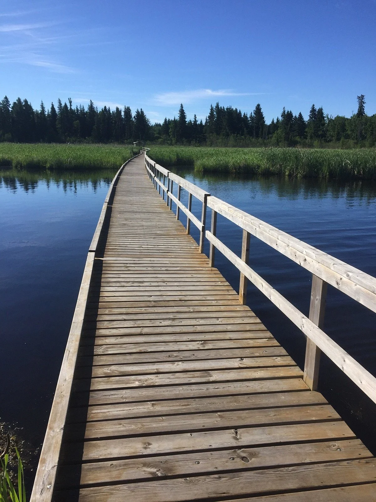 Ominik March Trail