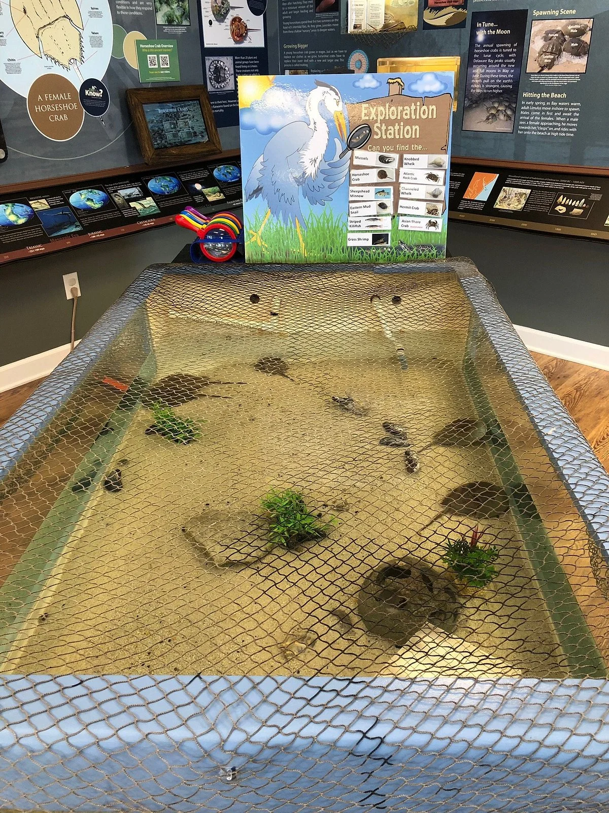 DuPont Nature Center