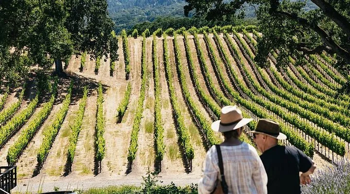Mahoney Vineyards