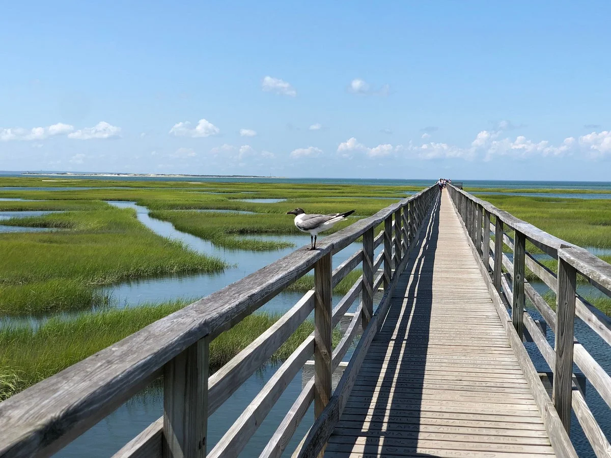 Bass Hole Boardwalk