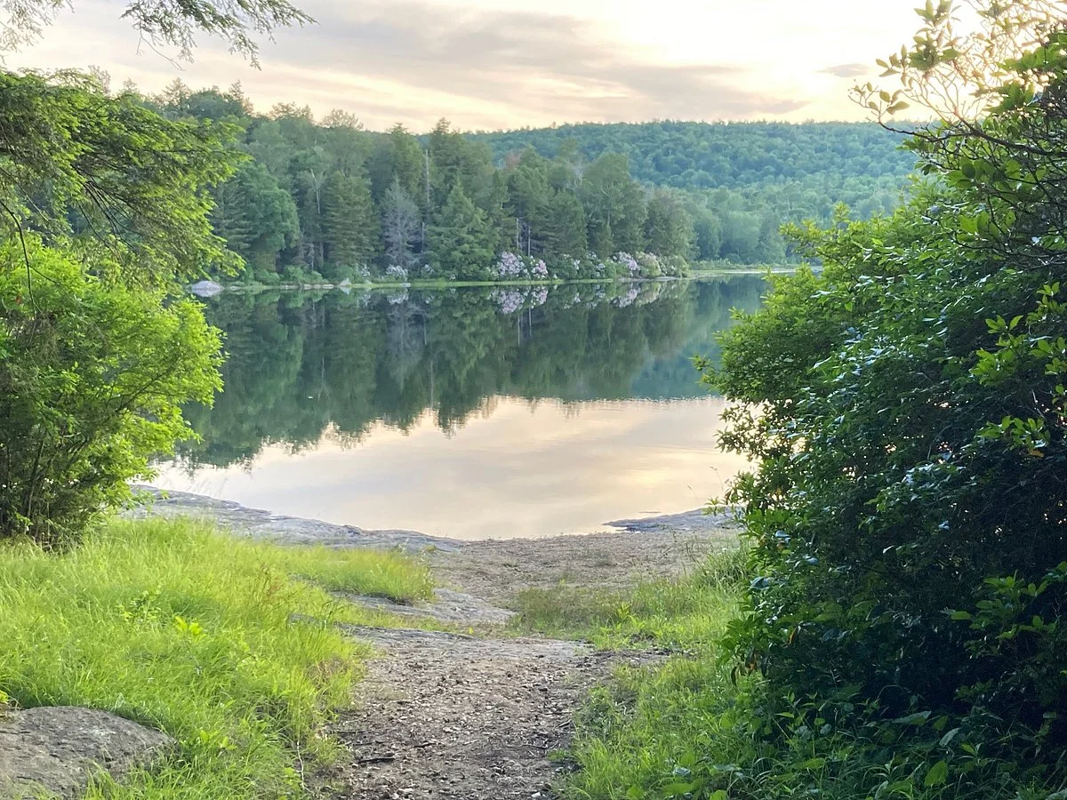 Savoy Mountain State Forest