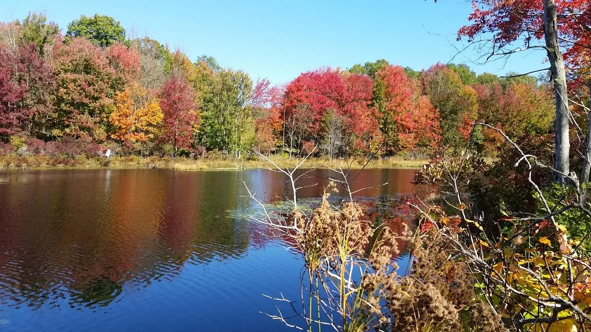 Airline State Park Trail