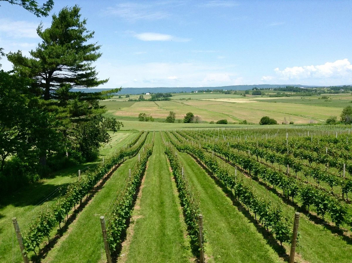 Planters Ridge