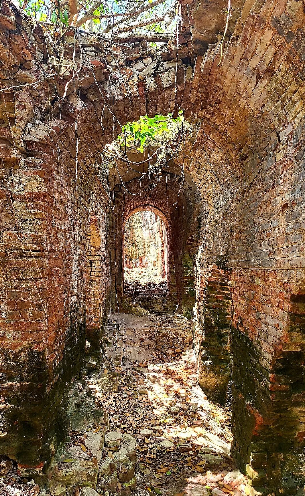 Sugar Mill Ruins