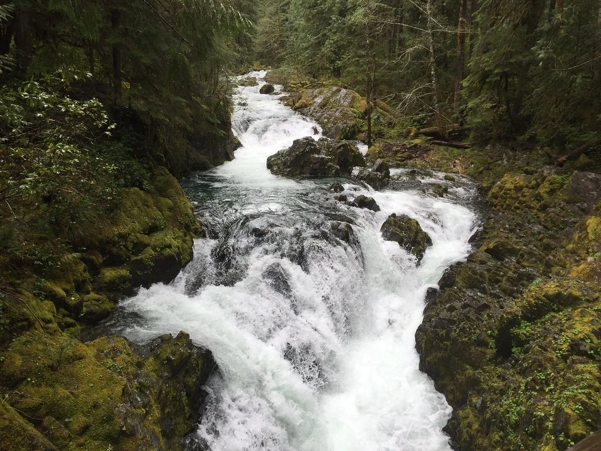Opal Creek Wilderness Area