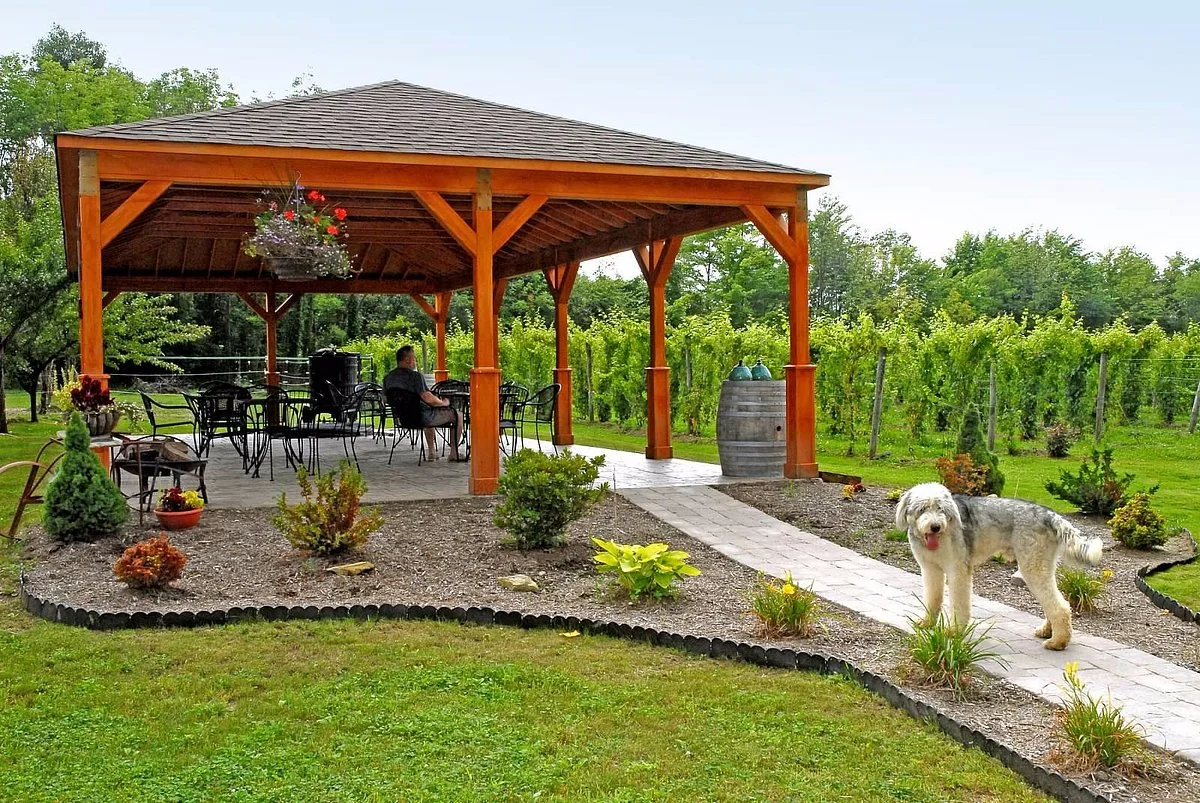 Maple Ridge Vineyard