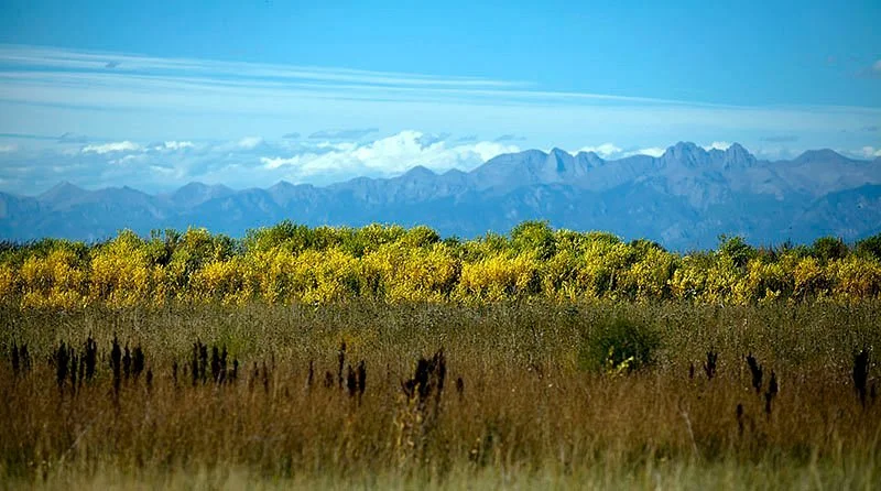 Alamosa National Wildlife Refuge