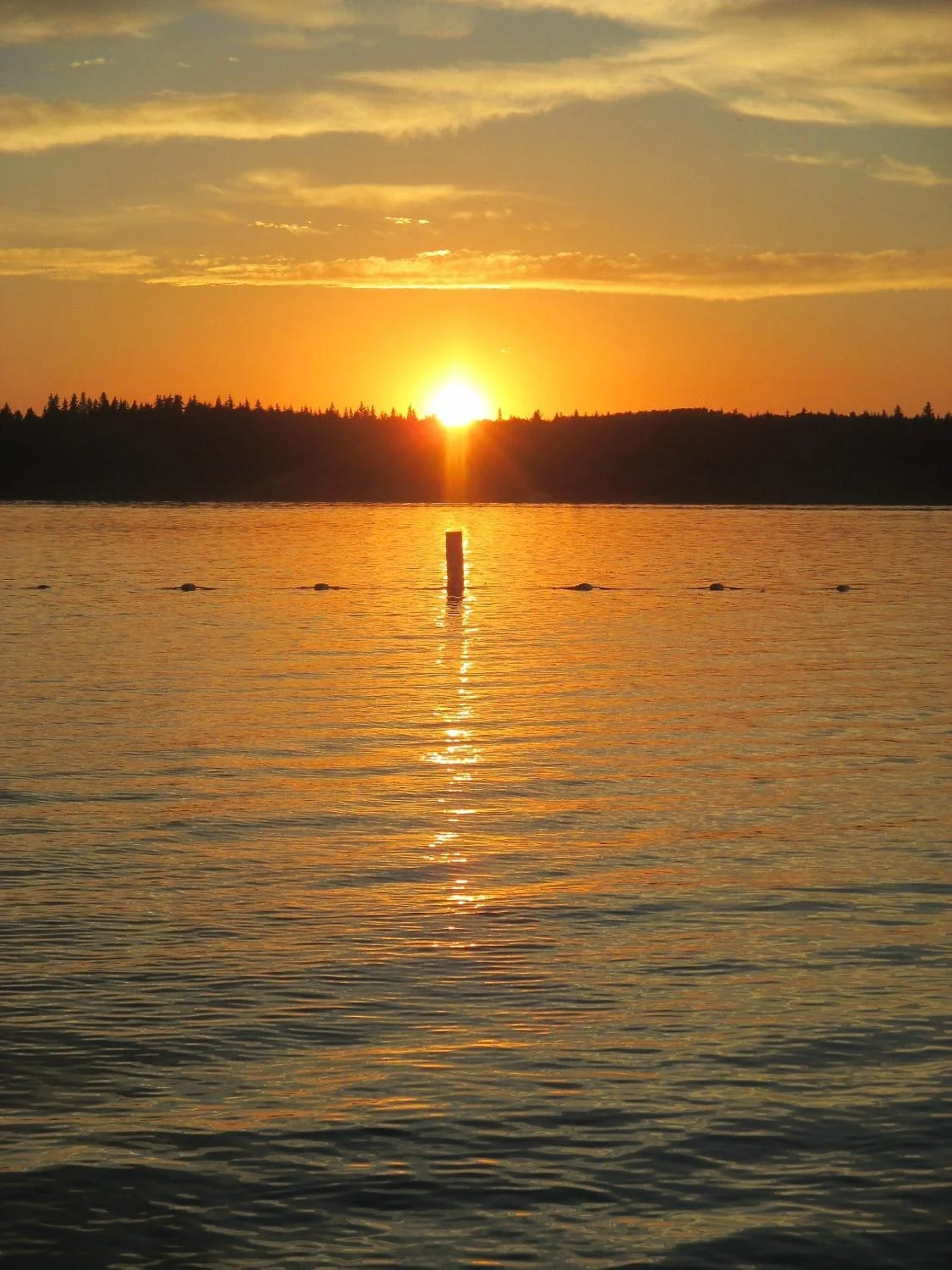 Wabamun Lake Provincial Park