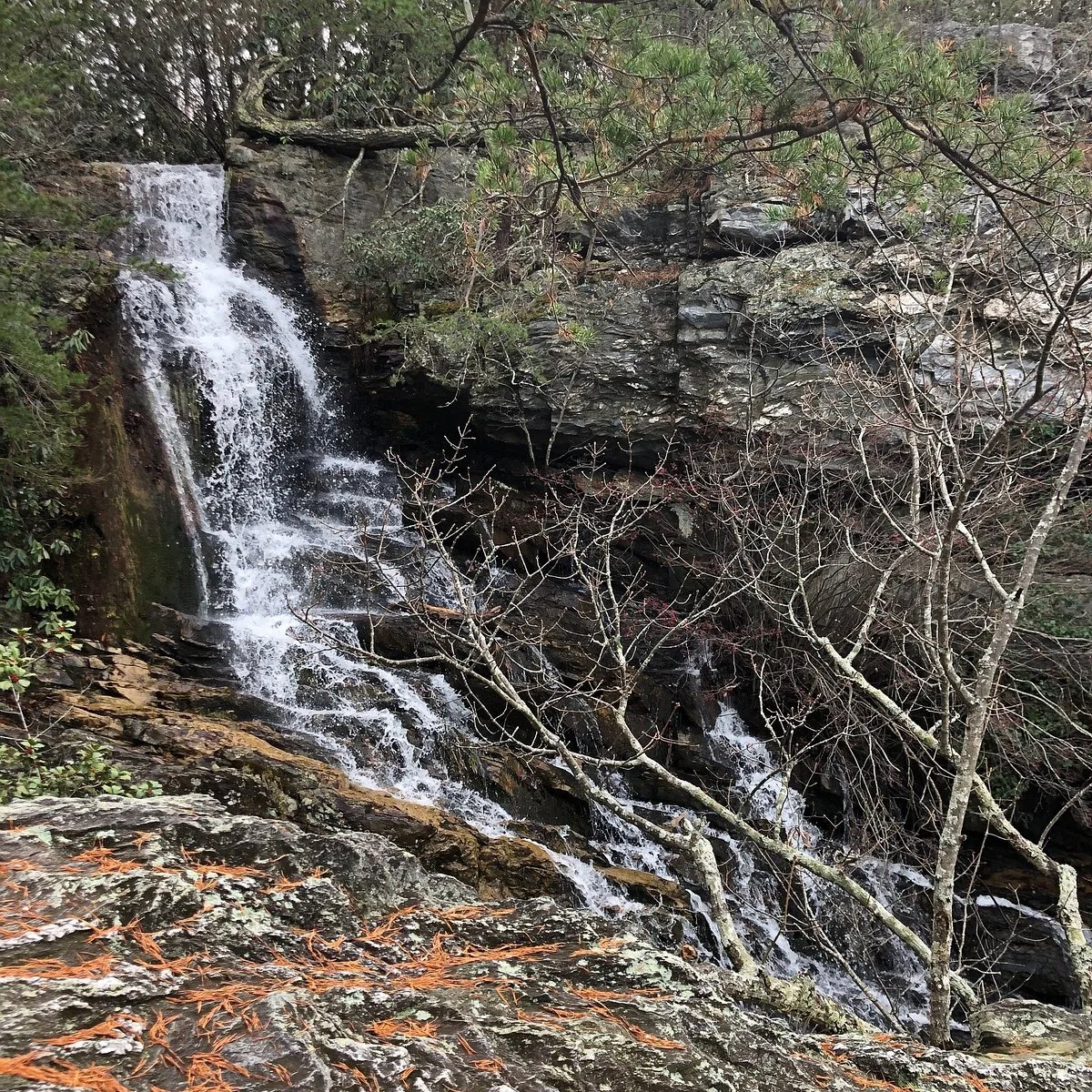 Tory's Falls