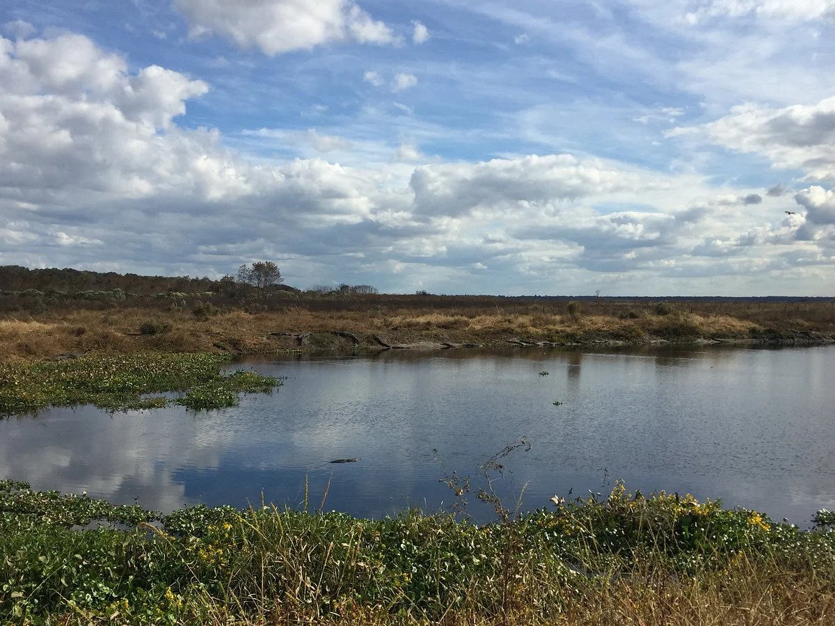 La Chua Trail