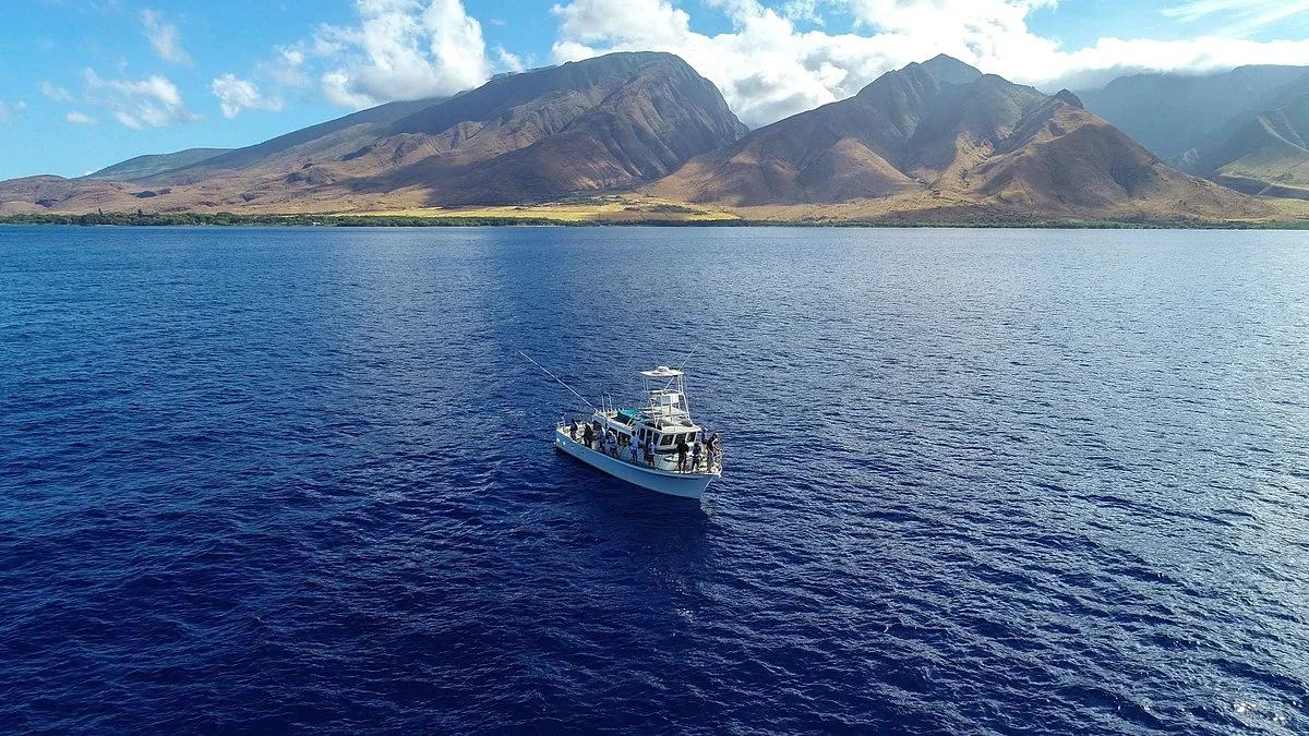 Strike Zone Sportfishing & Bottom Fishing