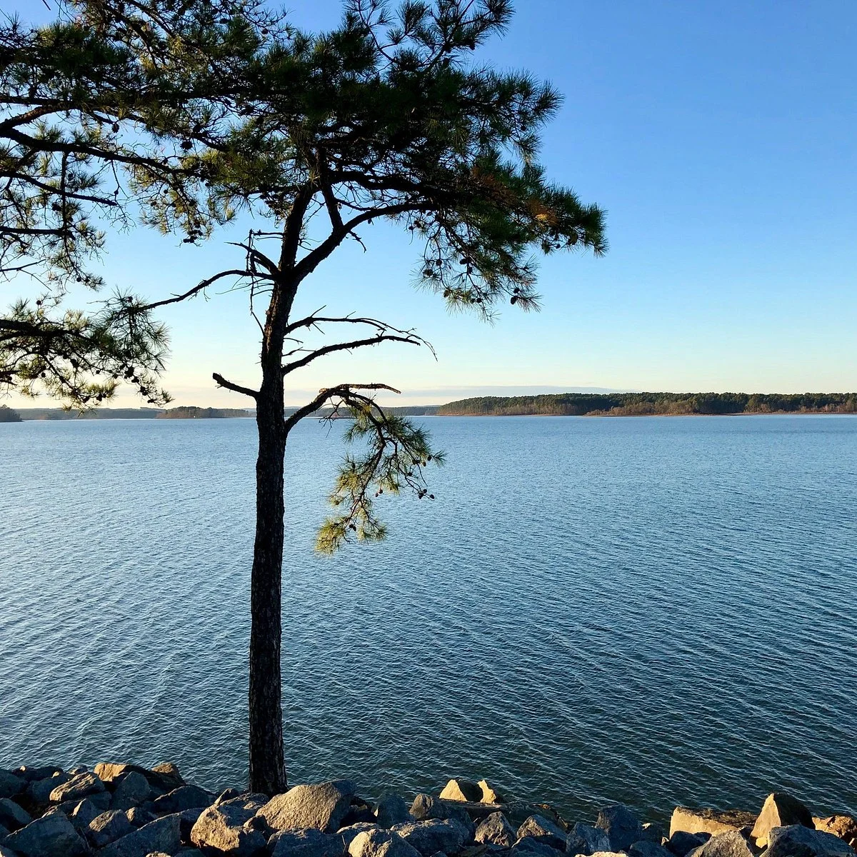 DeGray Lake Resort State Park