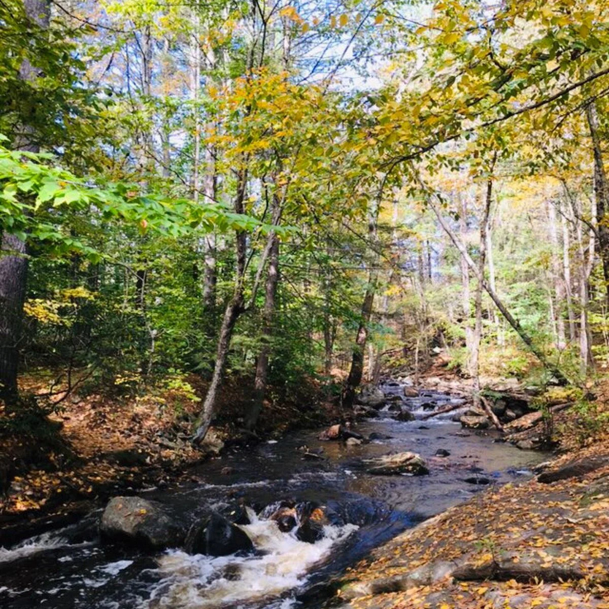 Trap Falls