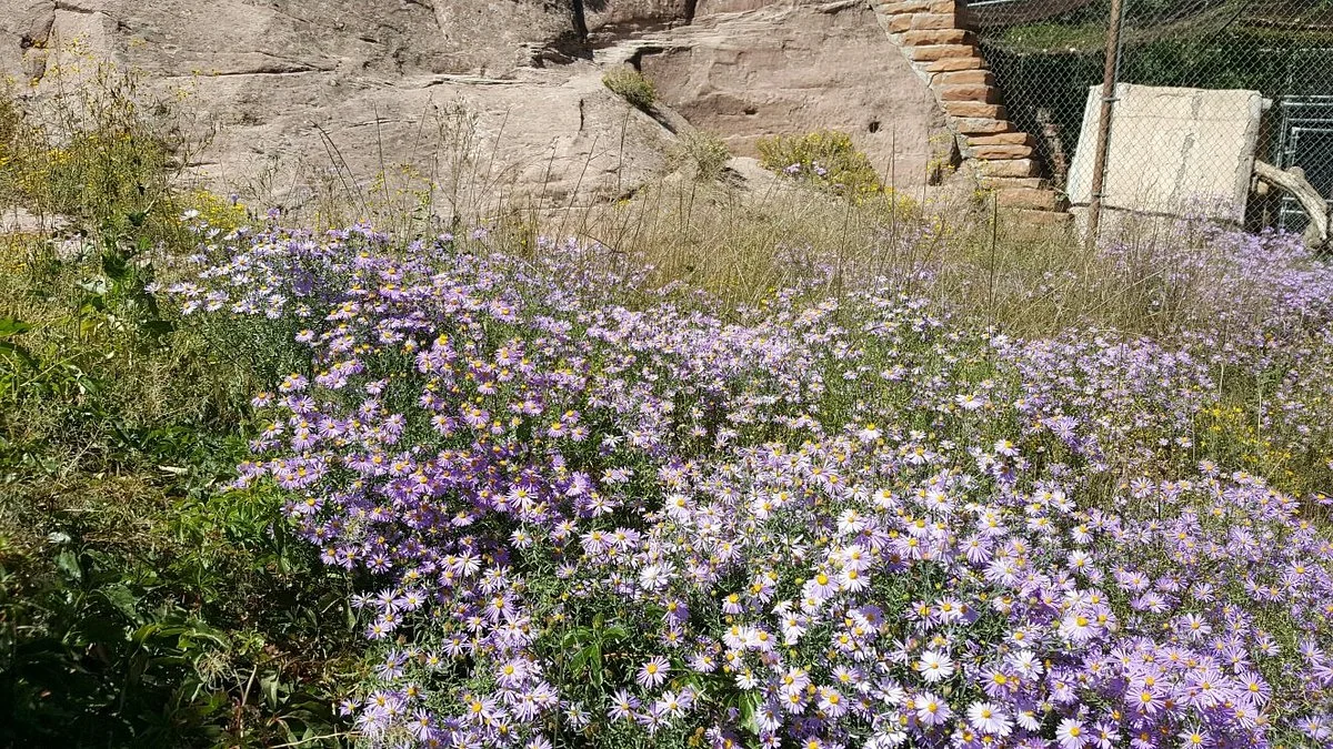 Navajo Nation Zoo & Botanical Park