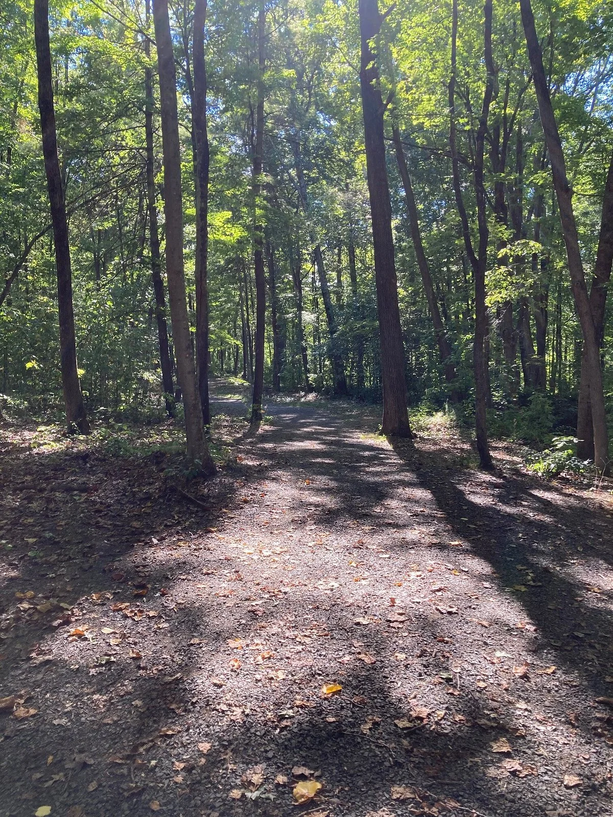 Sega Meadows Park