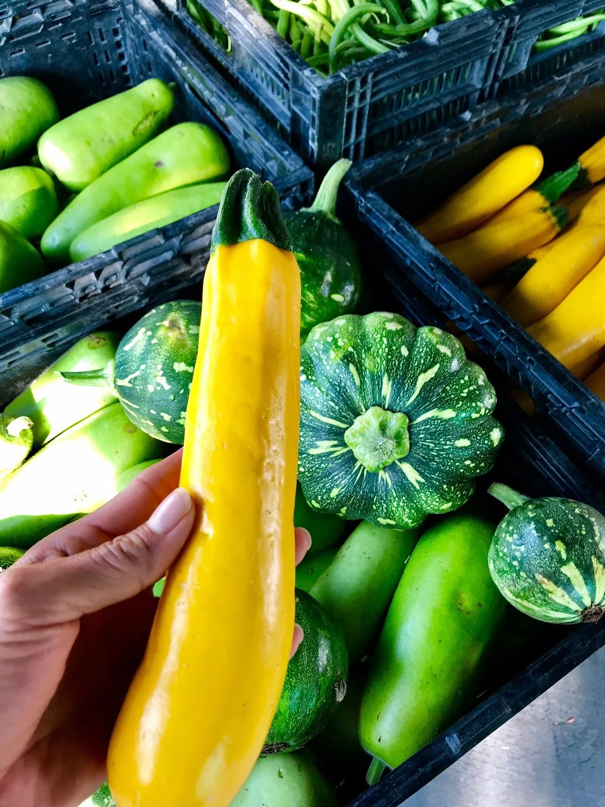 Laguna Niguel Farmer’s Market