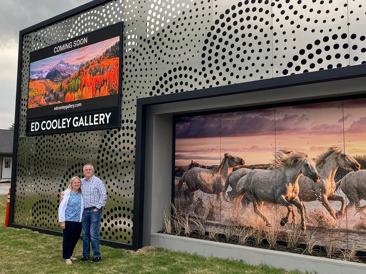 Ed Cooley Gallery