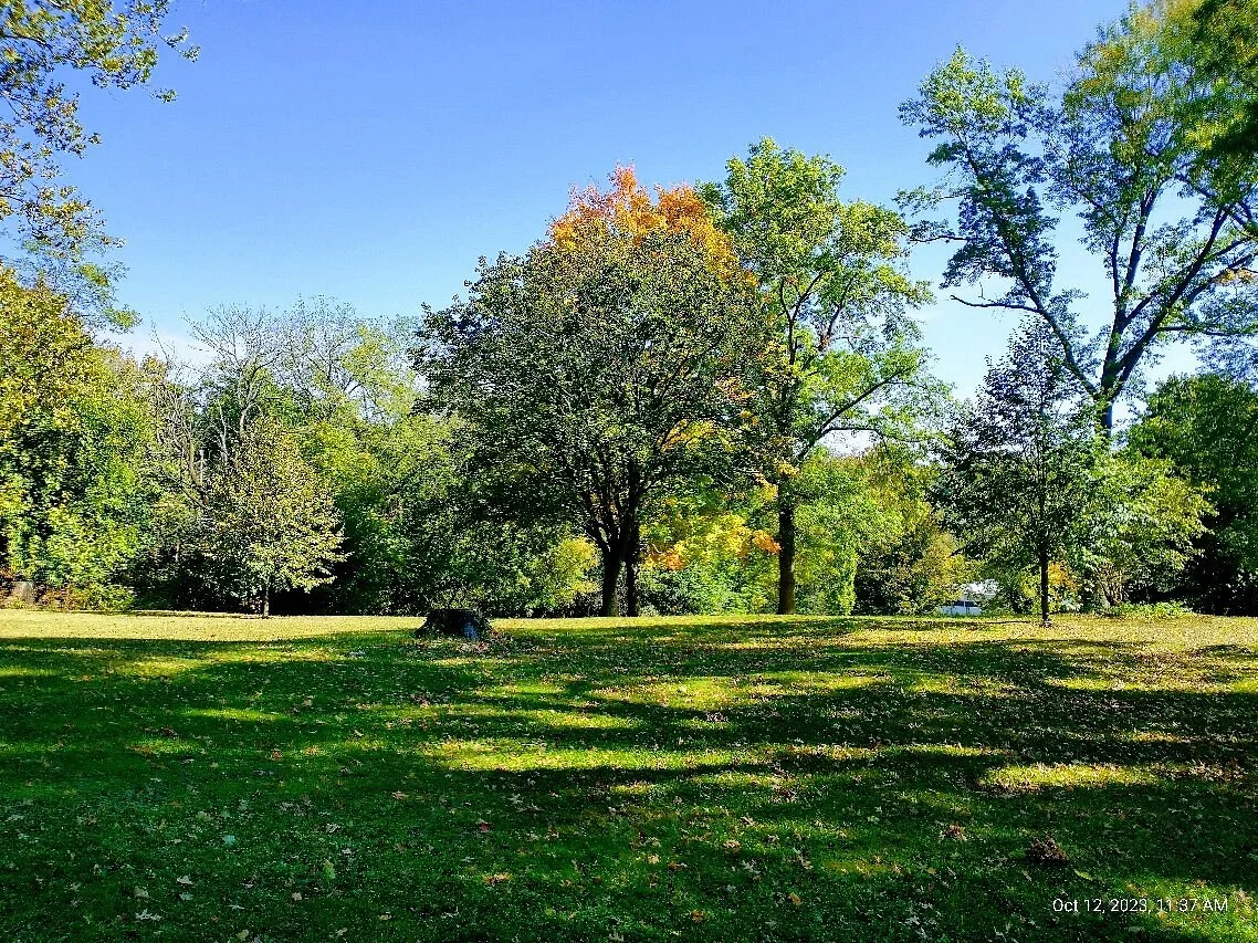 Saint Clair Park