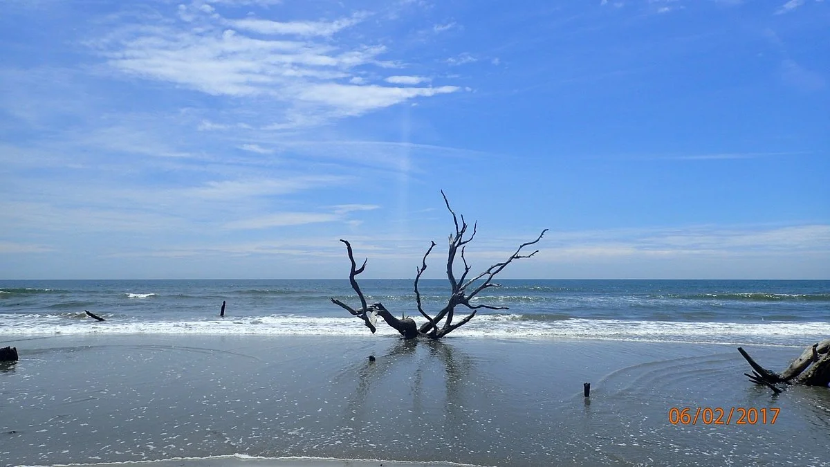 Boneyard Beach