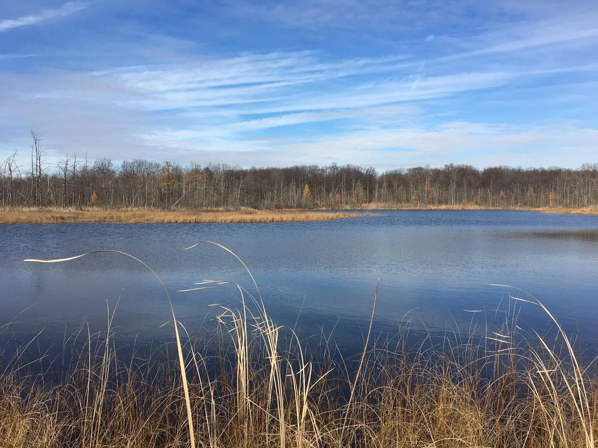 Indian Springs Metro Park