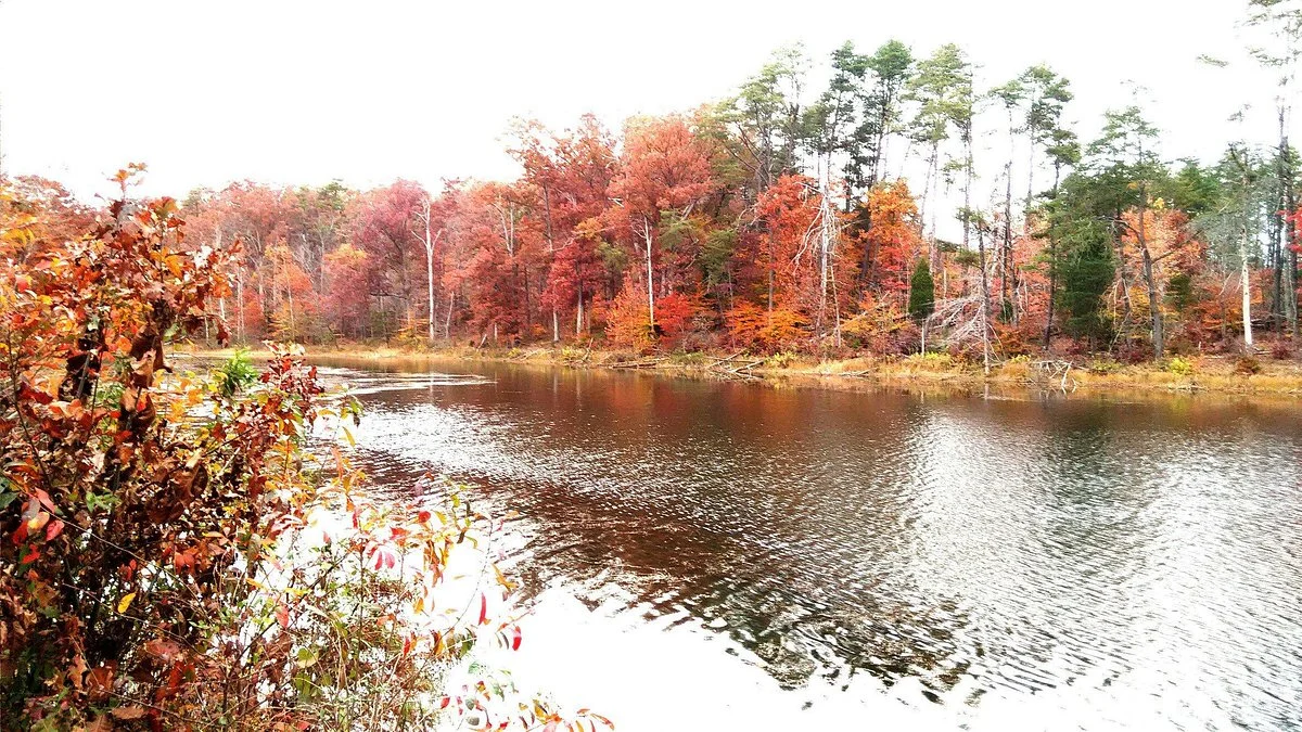 Deam Lake State Recreation Area
