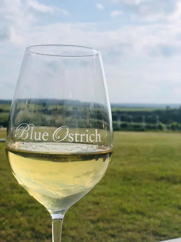 Blue Ostrich Winery & Vineyard