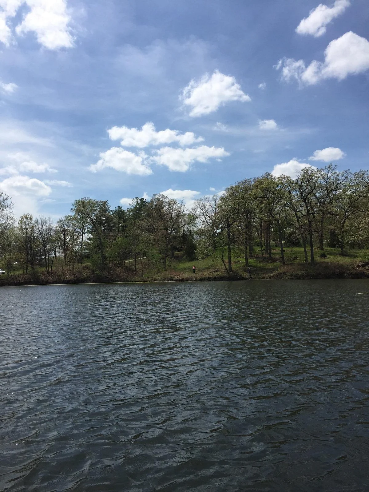 Moberly Rothwell Park