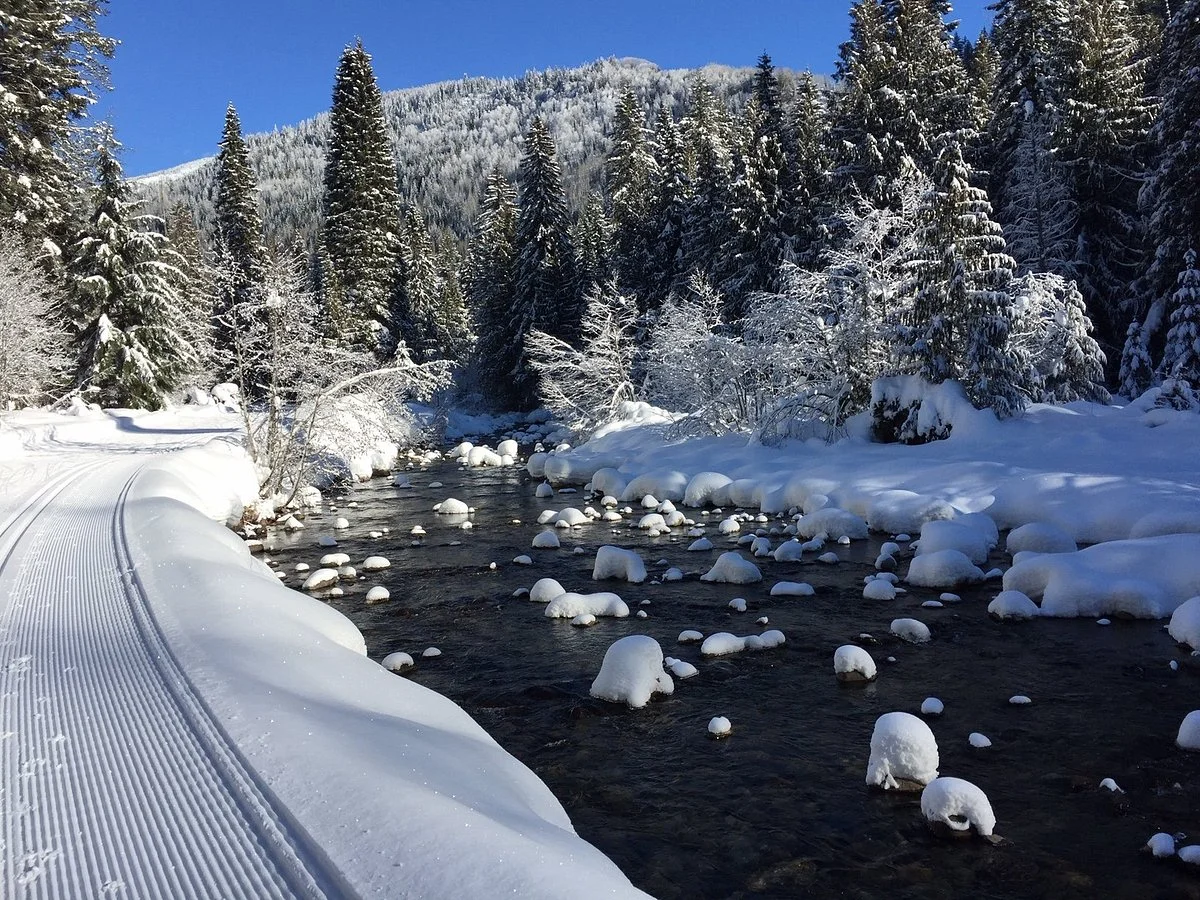 Nelson Nordic Ski Club
