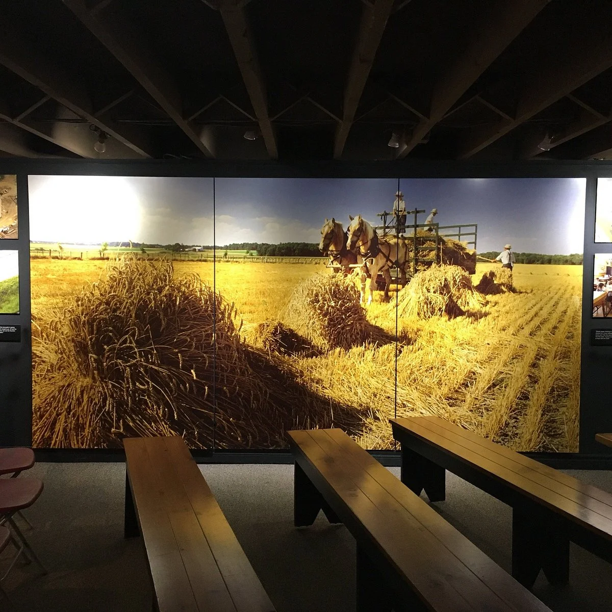 The Mennonite Story