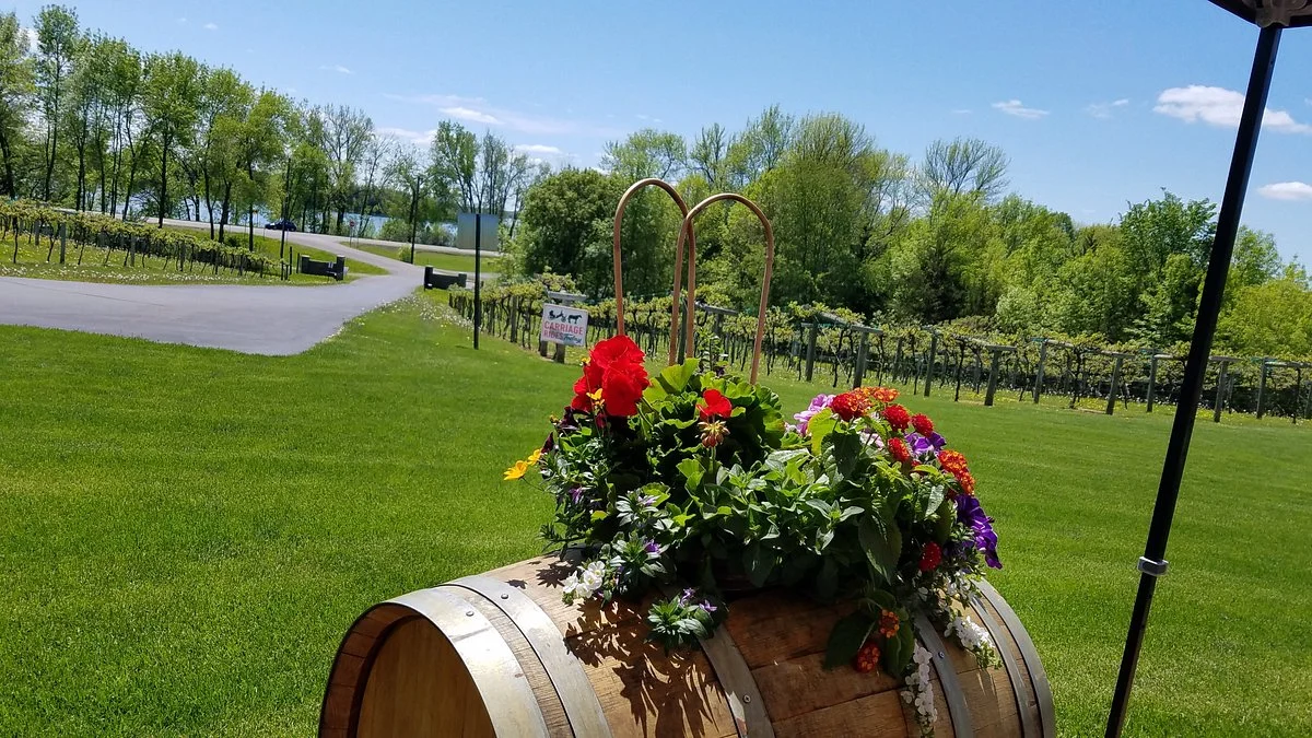 WineHaven Winery and Vineyard