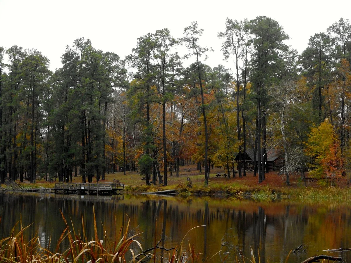 Davy Crockett National Forest