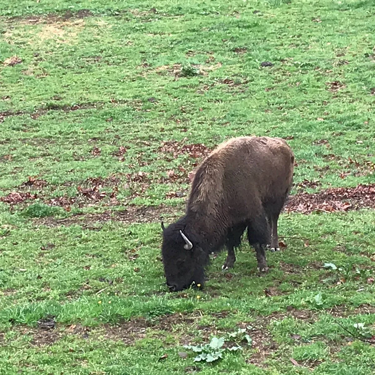 West Virginia State Wildlife Center