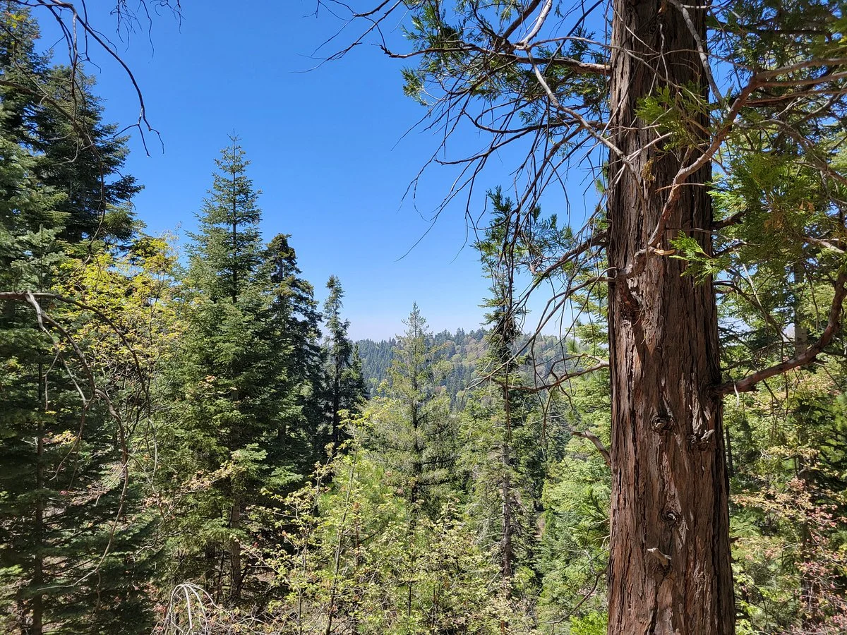 Heaps Peak Arboretum