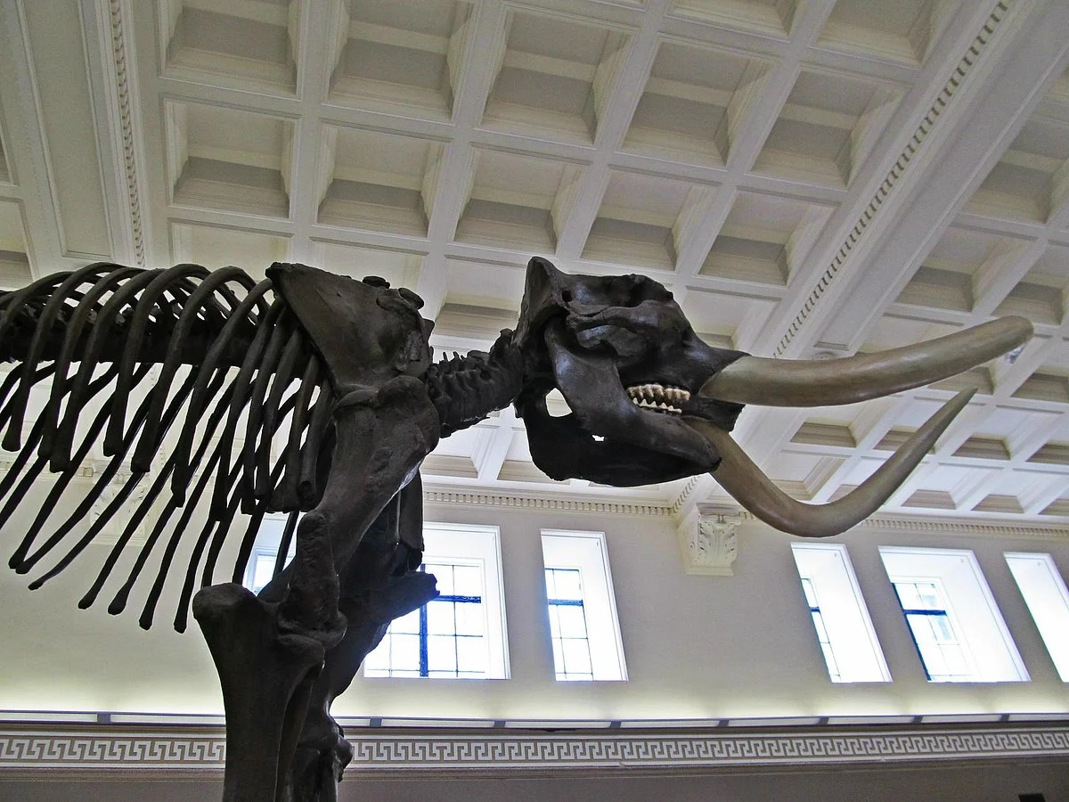 Buffalo Museum of Science
