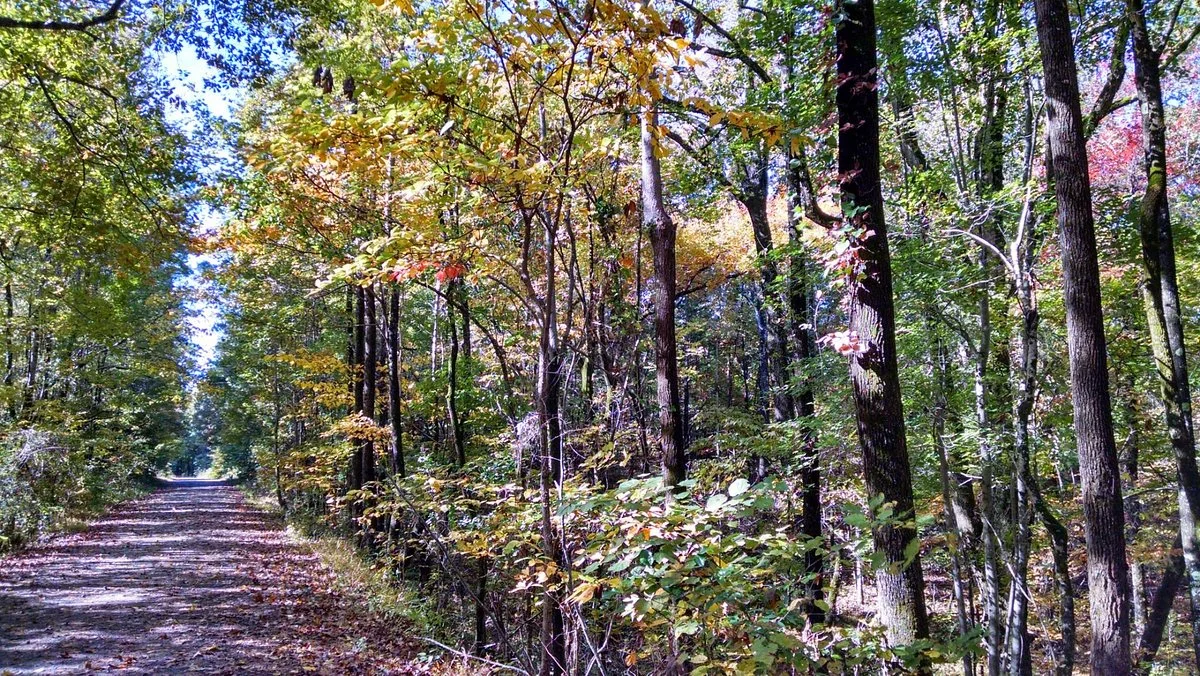 Thacker Mountain Rail Trail
