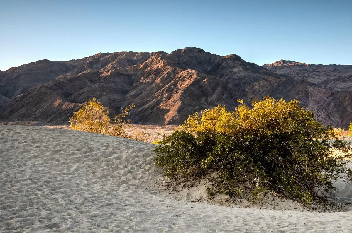 Grapevine Mountains