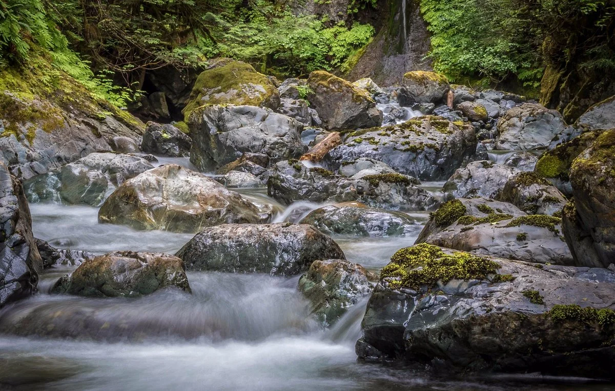 Rosewall Creek Provincial Park