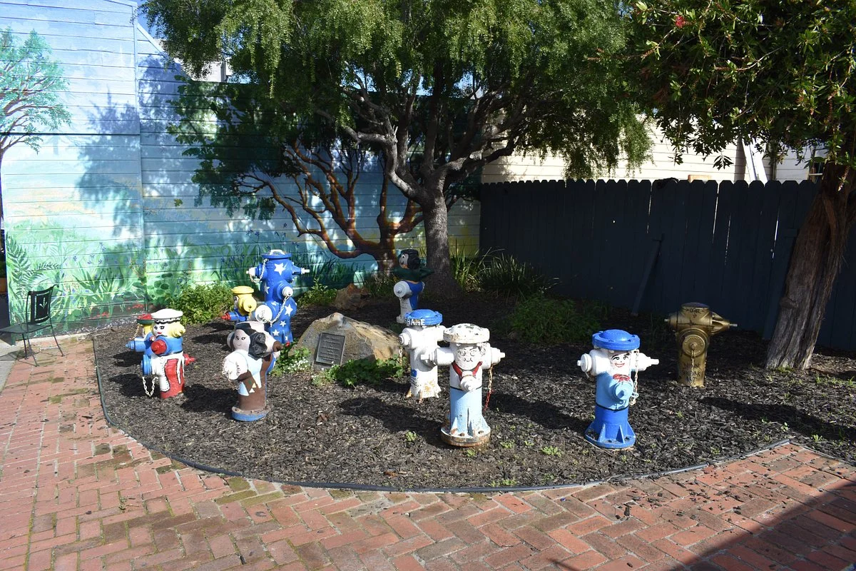 Fire Hydrant Plug Preserve