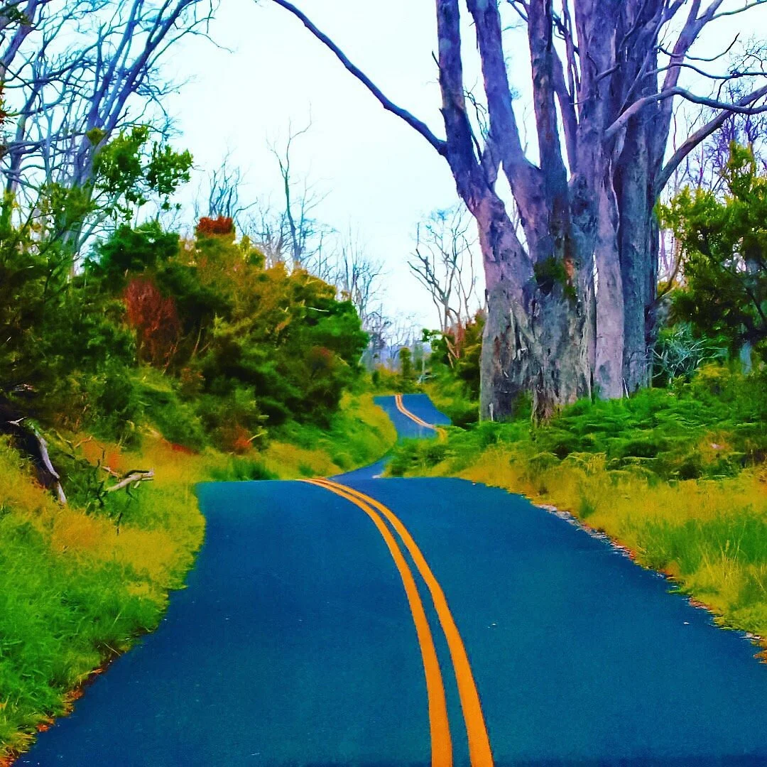 Kipuka Puaulu (Bird Park) Trail