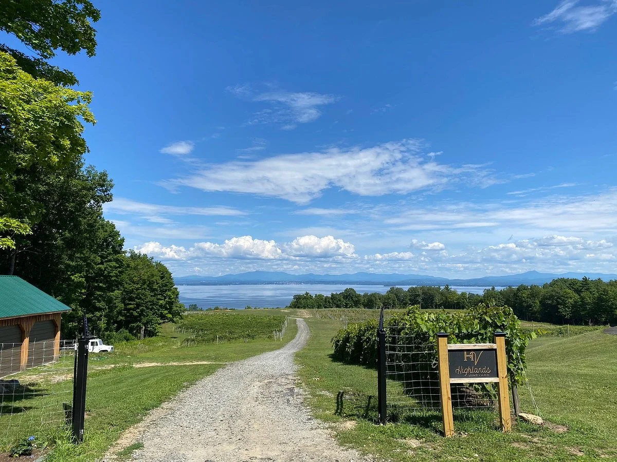Highlands Vineyard