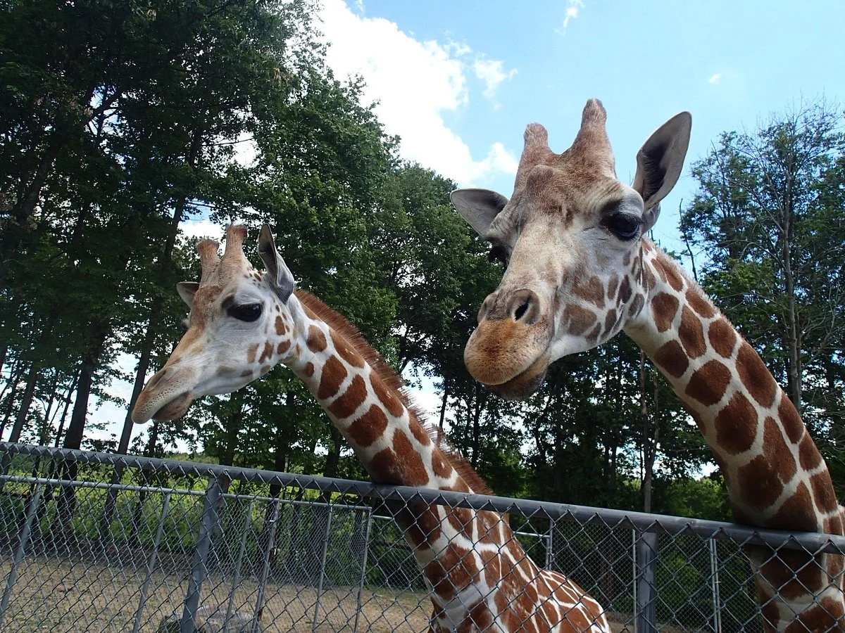 Hovatter's Wildlife Zoo